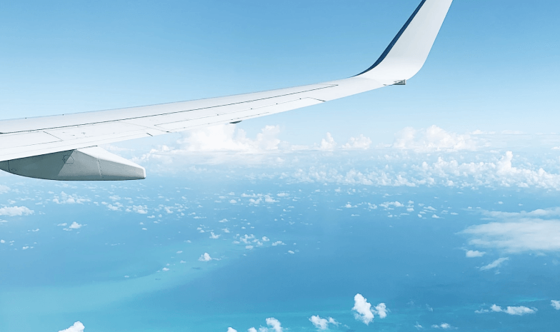 Plane wing